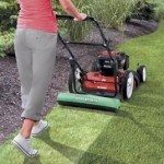 Lawn Stryper