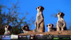 tv_widgets_yahoo_1