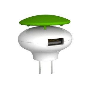 mushroom