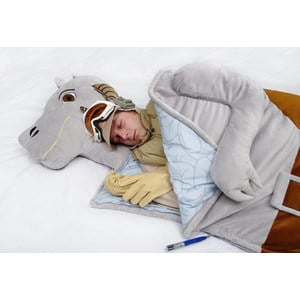 swtauntaunsleep