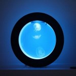 The Orbit 20 Jellyfish Aquarium – oh give me a home, where the jellyfish roam