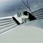 Insect-like robot can literally walk on water