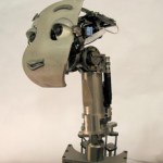 Mertz active vision robotic head from MIT