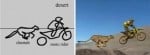 PhotoSketch - Digital Picture Software
