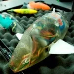 Robot Fish Being Developed by MIT