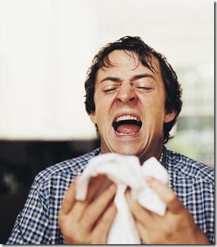 Ejaculation might ease the symptoms of hay fever (Image Digital VisionGetty)