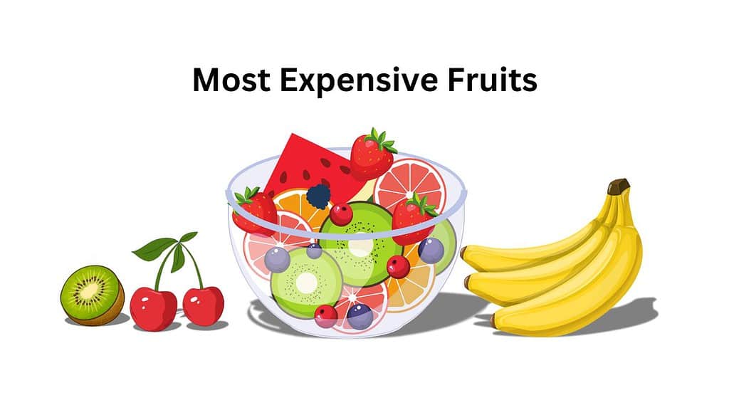 Most Expensive Fruits