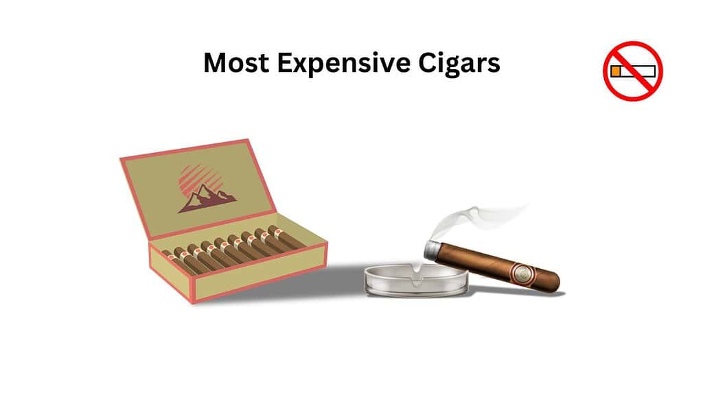 Most Expensive Cigars