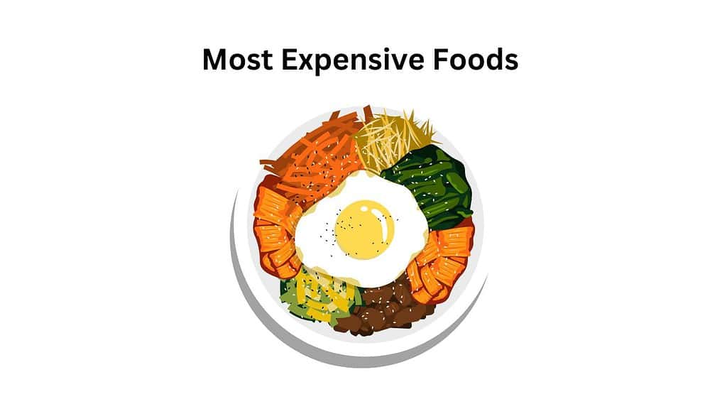 Most Expensive Foods