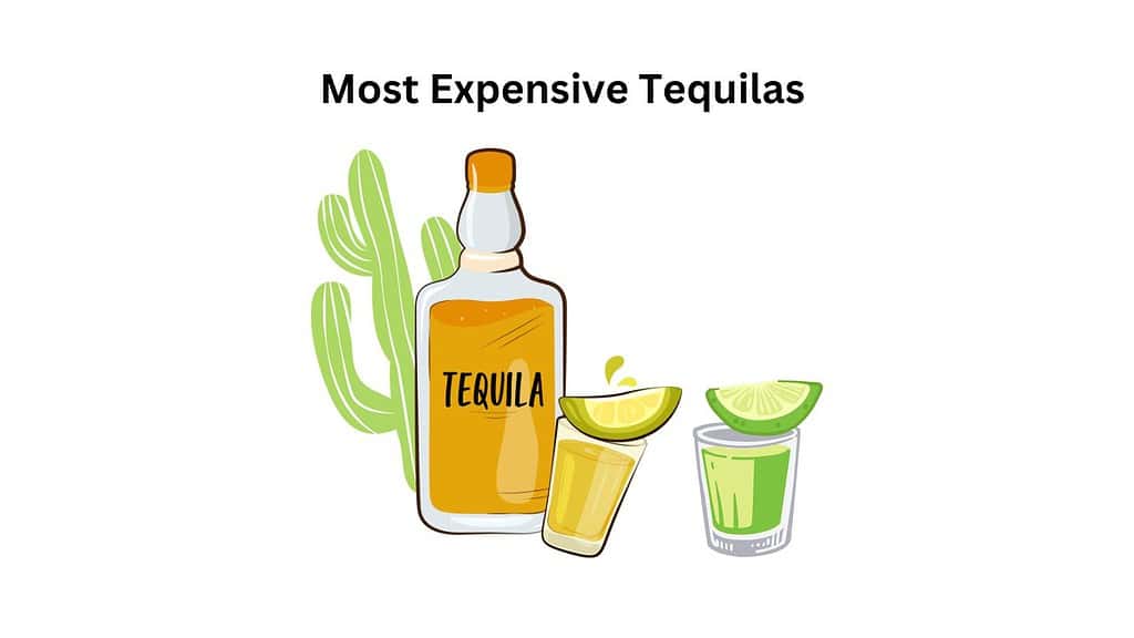 Most Expensive Tequilas