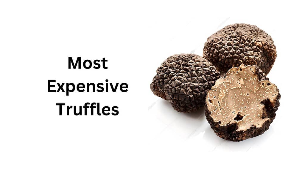 Most Expensive Truffles