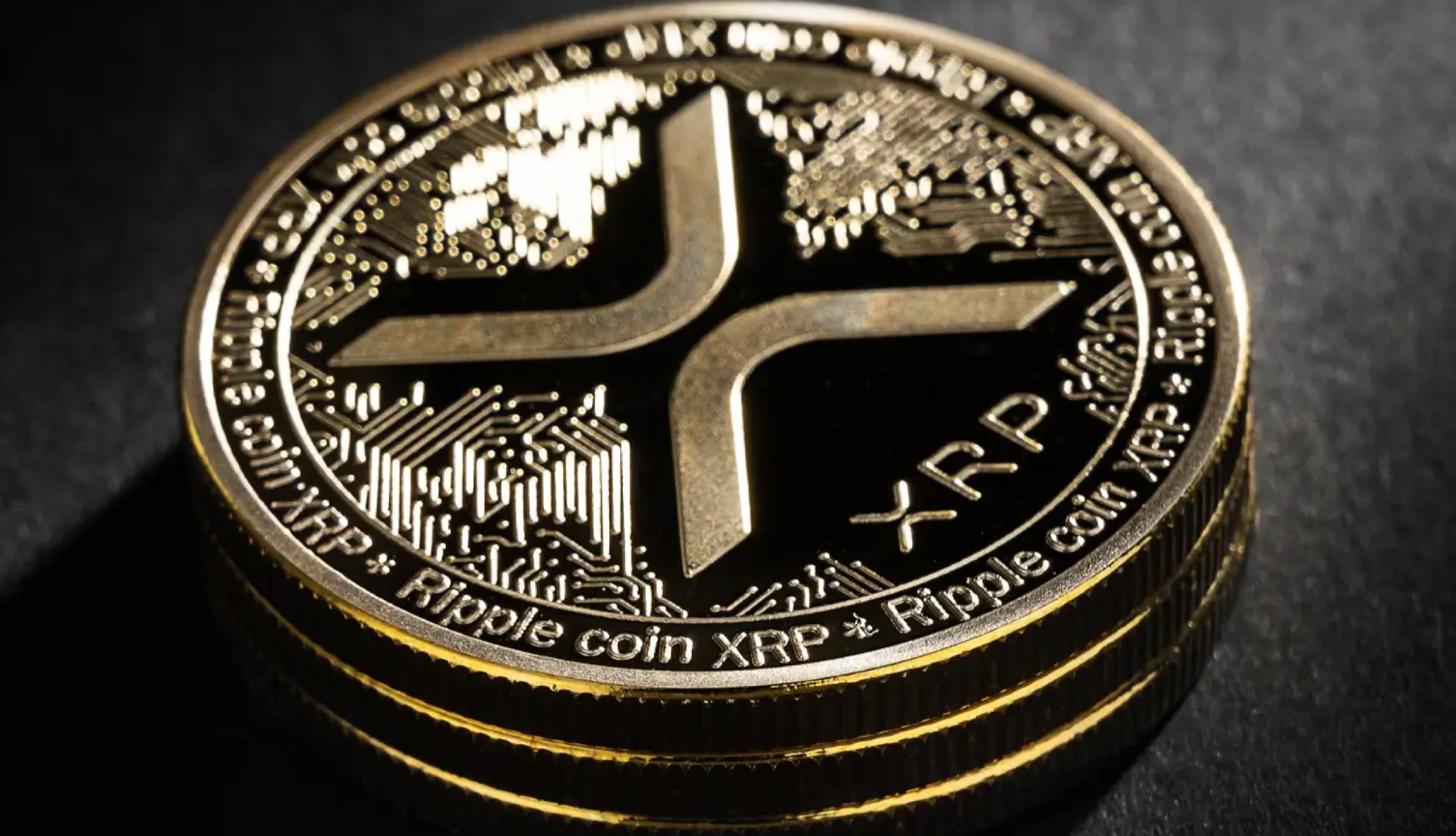 Magacoin Finance