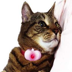purfectmooddetector
