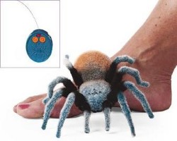 rctarantula