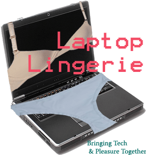 Laptop Lingerie