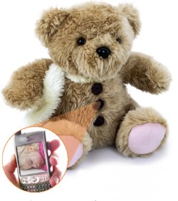 teddycam