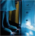 Torch Slippers