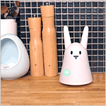 WiFi Rabbit